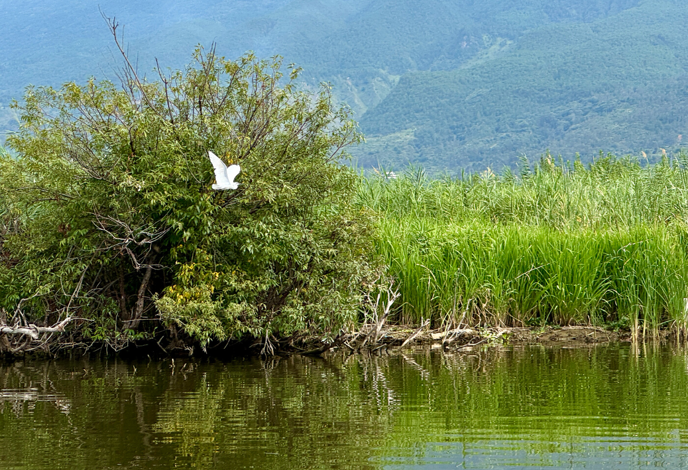 万千气象看洱源丨哇，洱源太出片了！