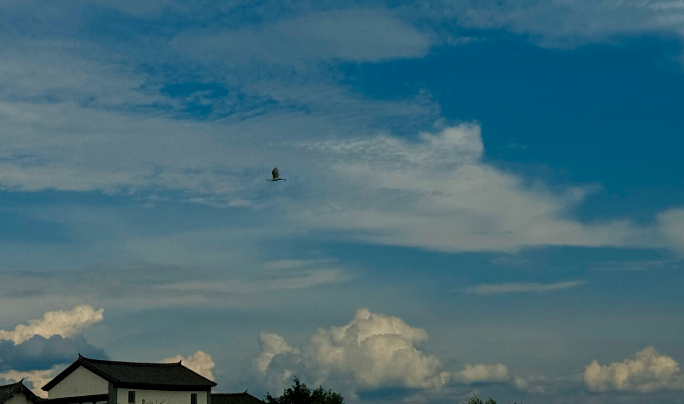 万千气象看洱源丨哇，洱源太出片了！