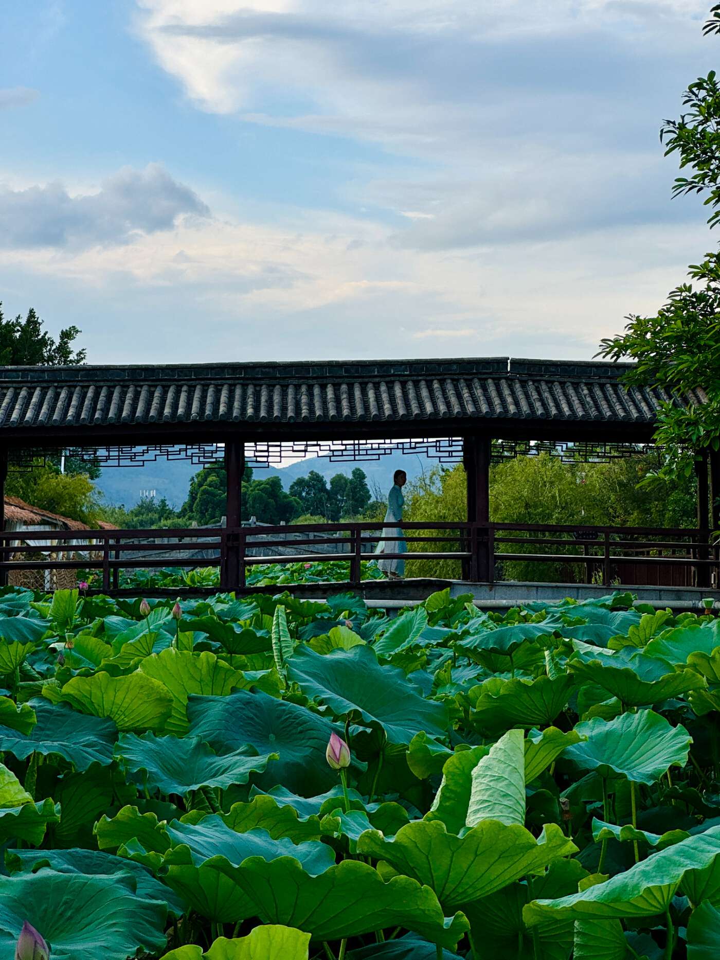 万千气象看洱源丨哇，洱源太出片了！