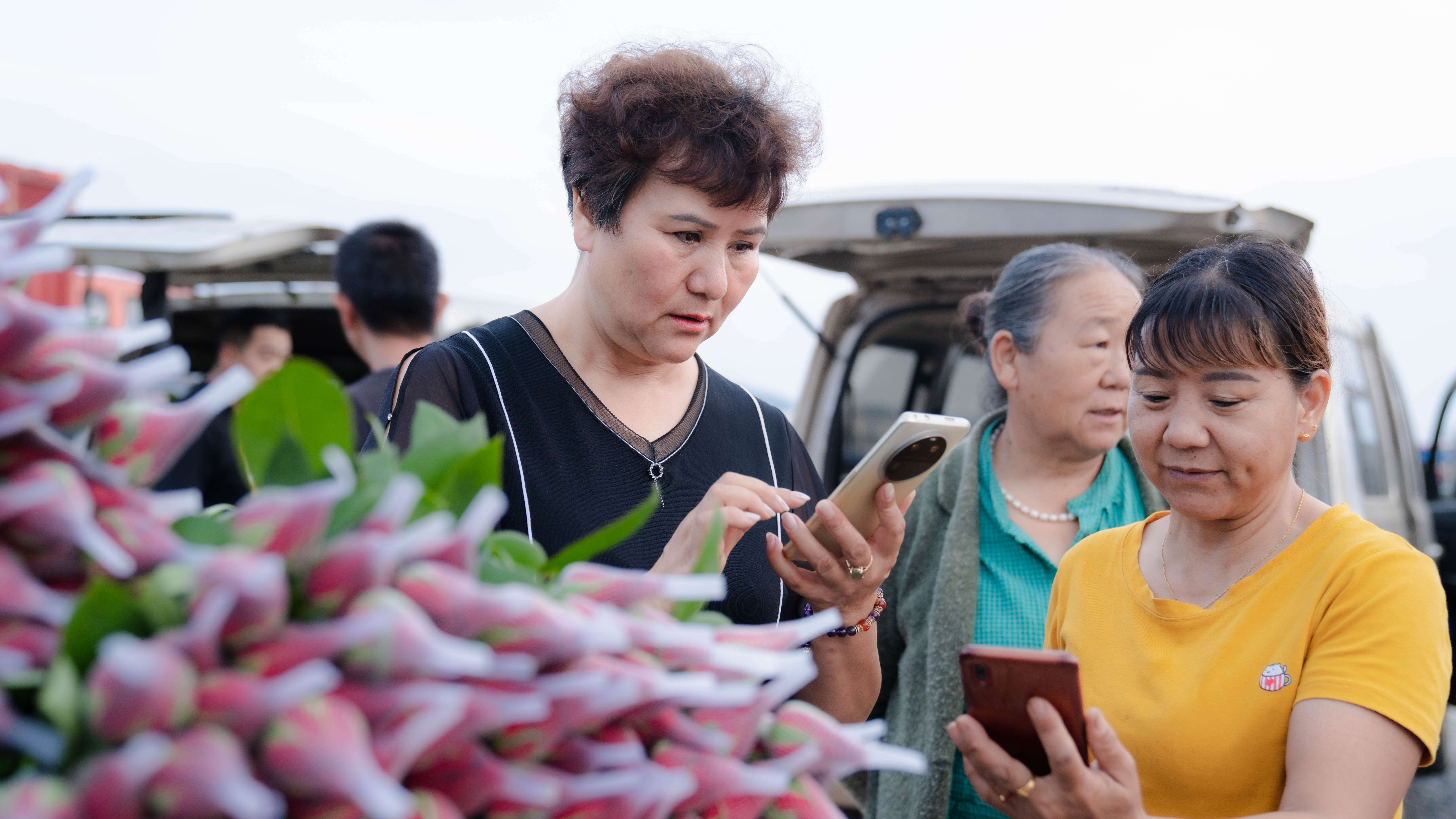 (采访传编辑 “新丝路 新青年”专题稿)晋宁鲜花“绽放”丝绸之路 云南花香飘向中亚1.jpg