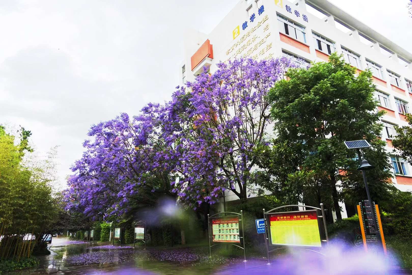 昆一中西山学校美景