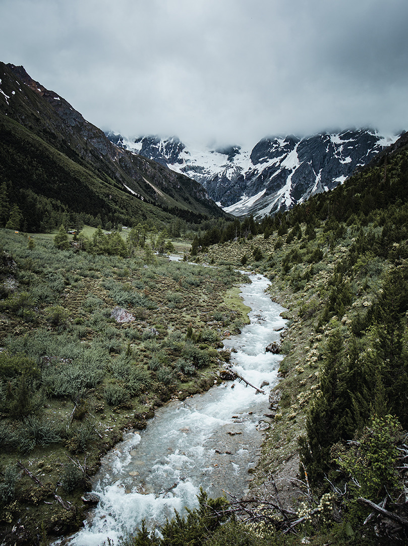 冬行白马雪山 迪庆州委宣传部供图 (1).JPG
