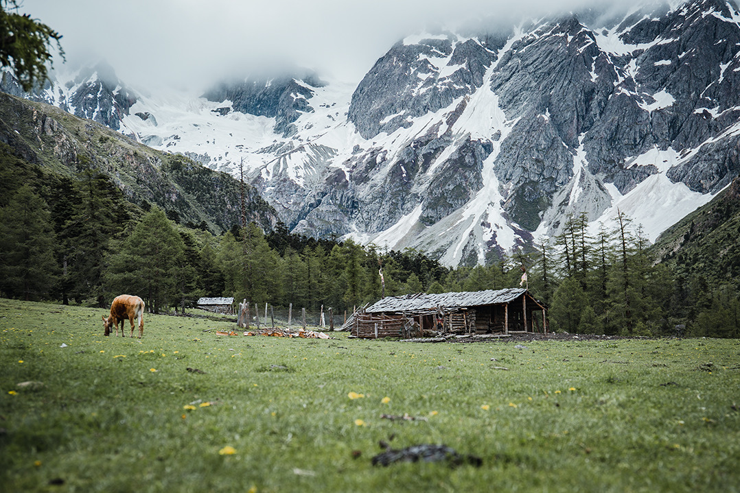 冬行白马雪山 迪庆州委宣传部供图 (5).JPG
