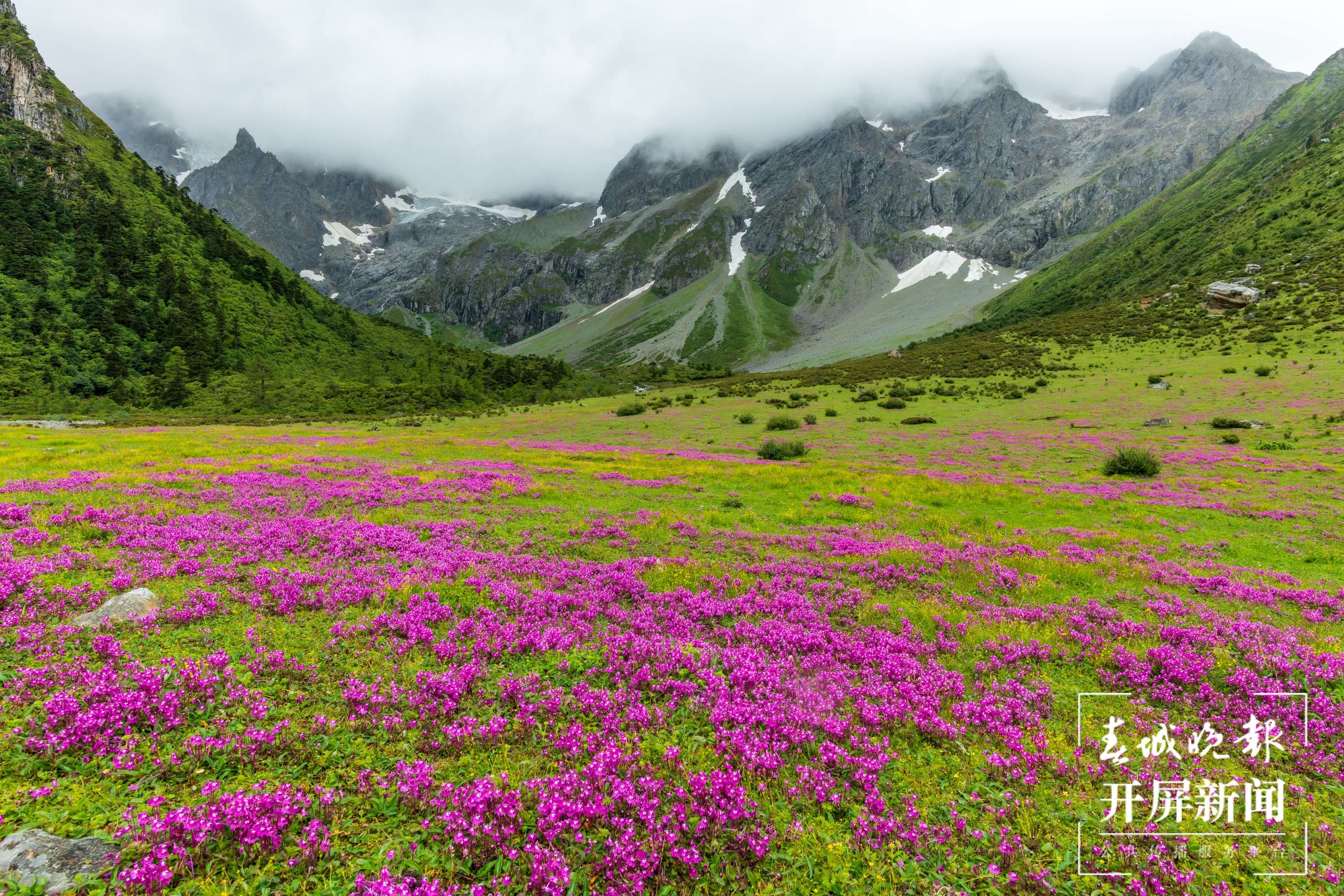 冬行白马雪山 迪庆州委宣传部供图 (4).jpg