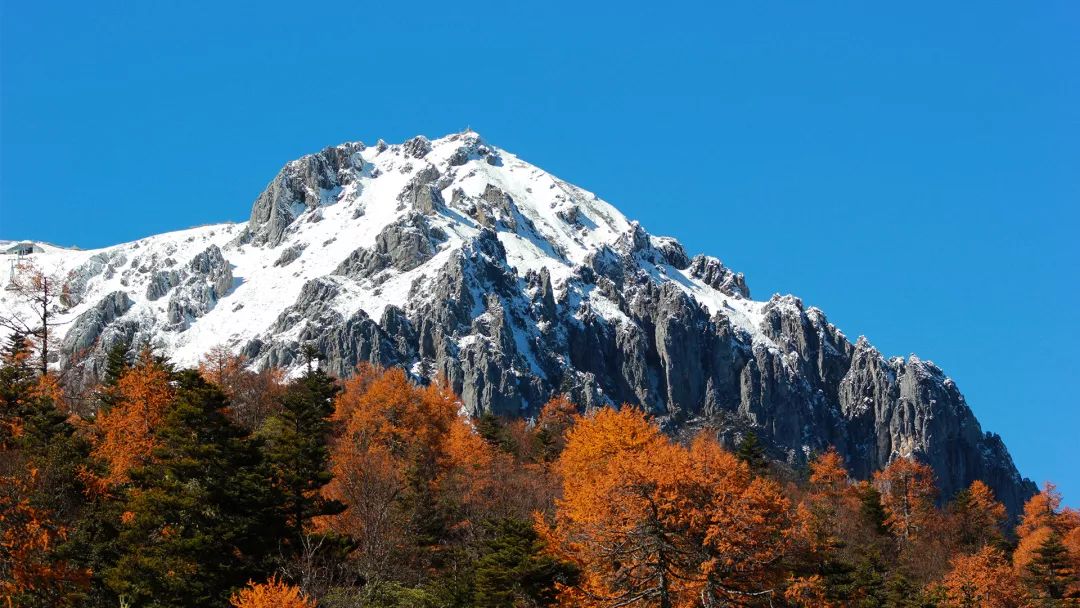 石卡雪山冬游 迪庆州委宣传部供图 (3).jpg