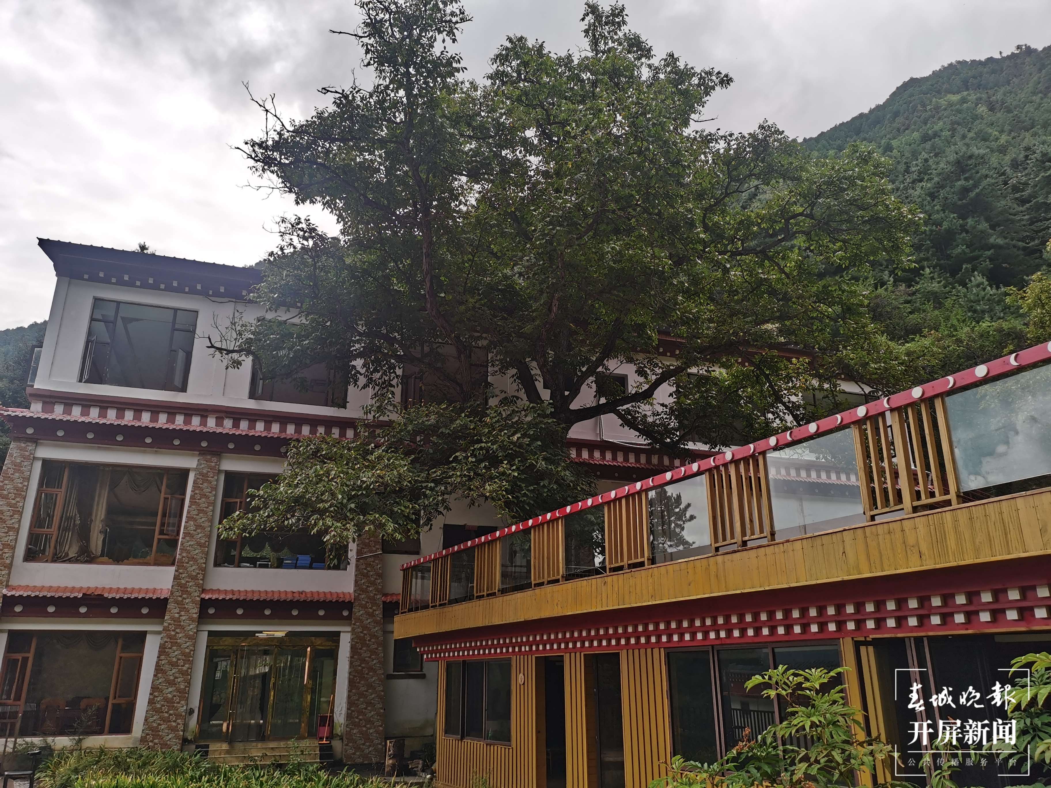 雪山脚下小村子走上农旅融合“蝶变”路 (3).jpg