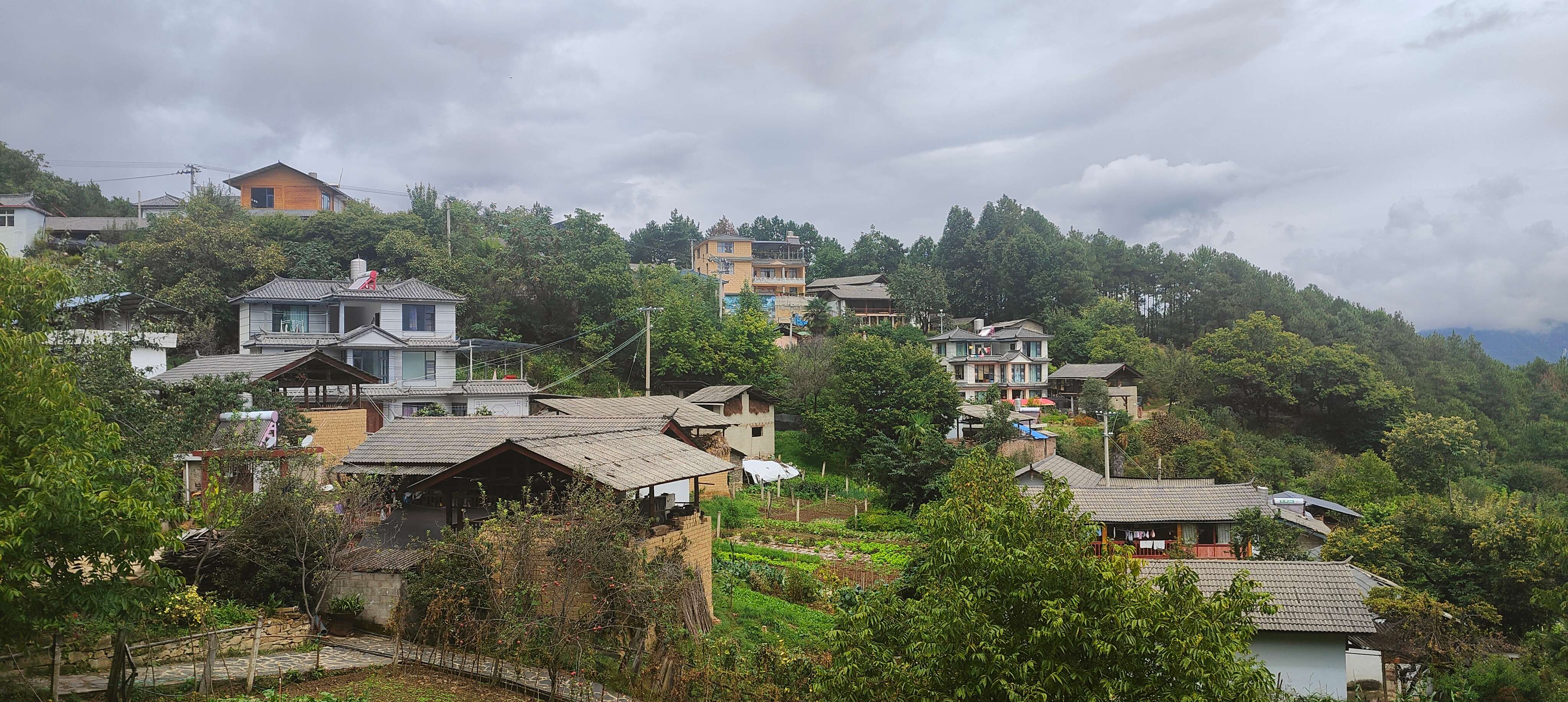 新时代 新迪庆|拉河柱村:兰香满庭院 绿美映家园