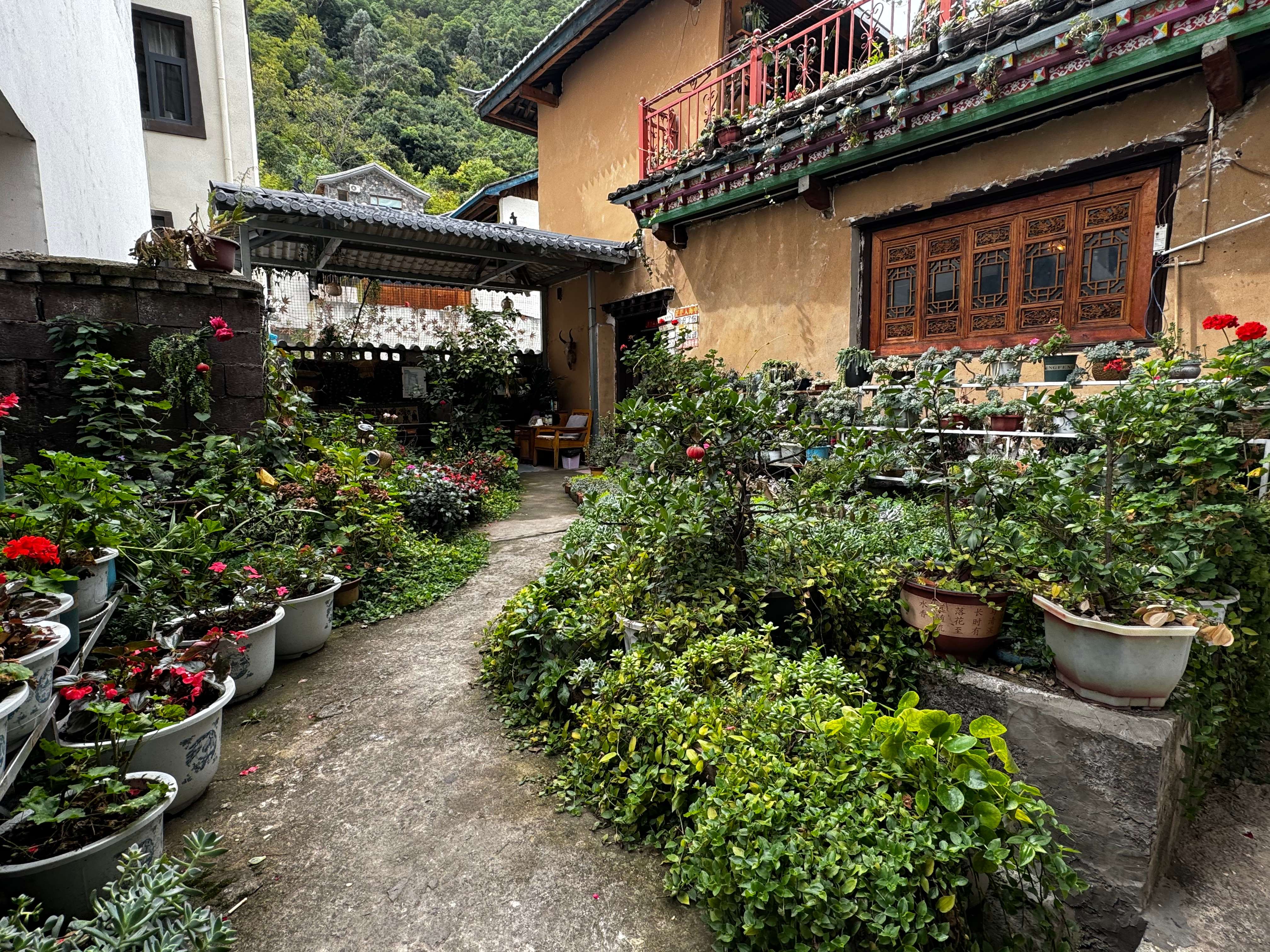 新时代·新迪庆 | 德钦县茨中村:民族团结谱欢歌