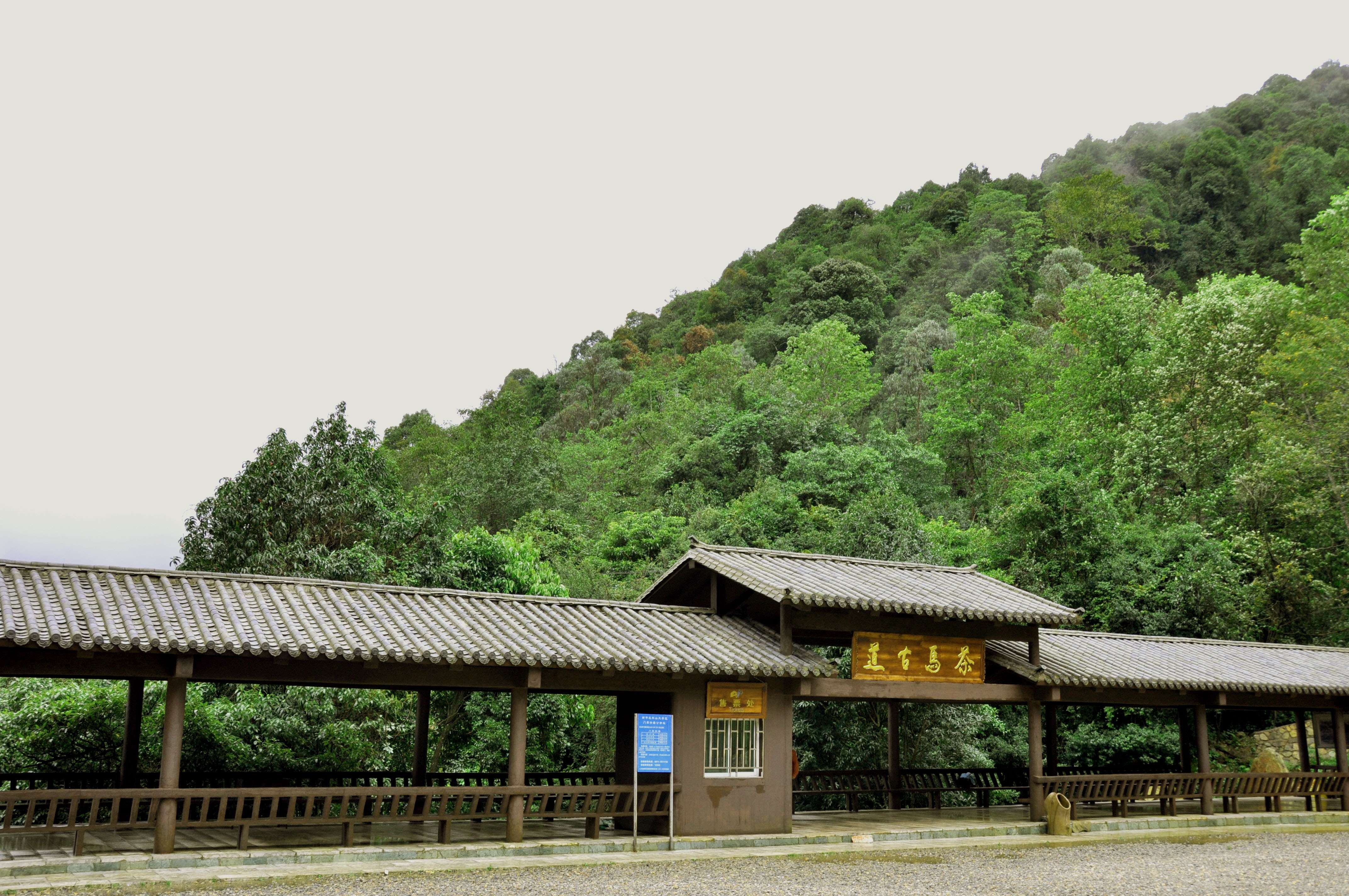 打卡3：茶马古道 (2).jpg