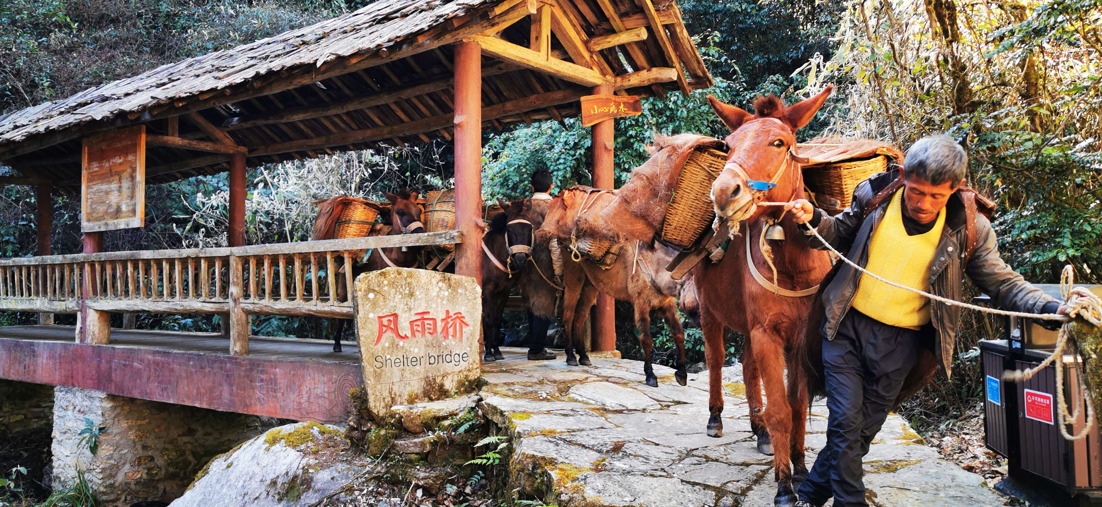 打卡3：茶马古道 (1).jpg