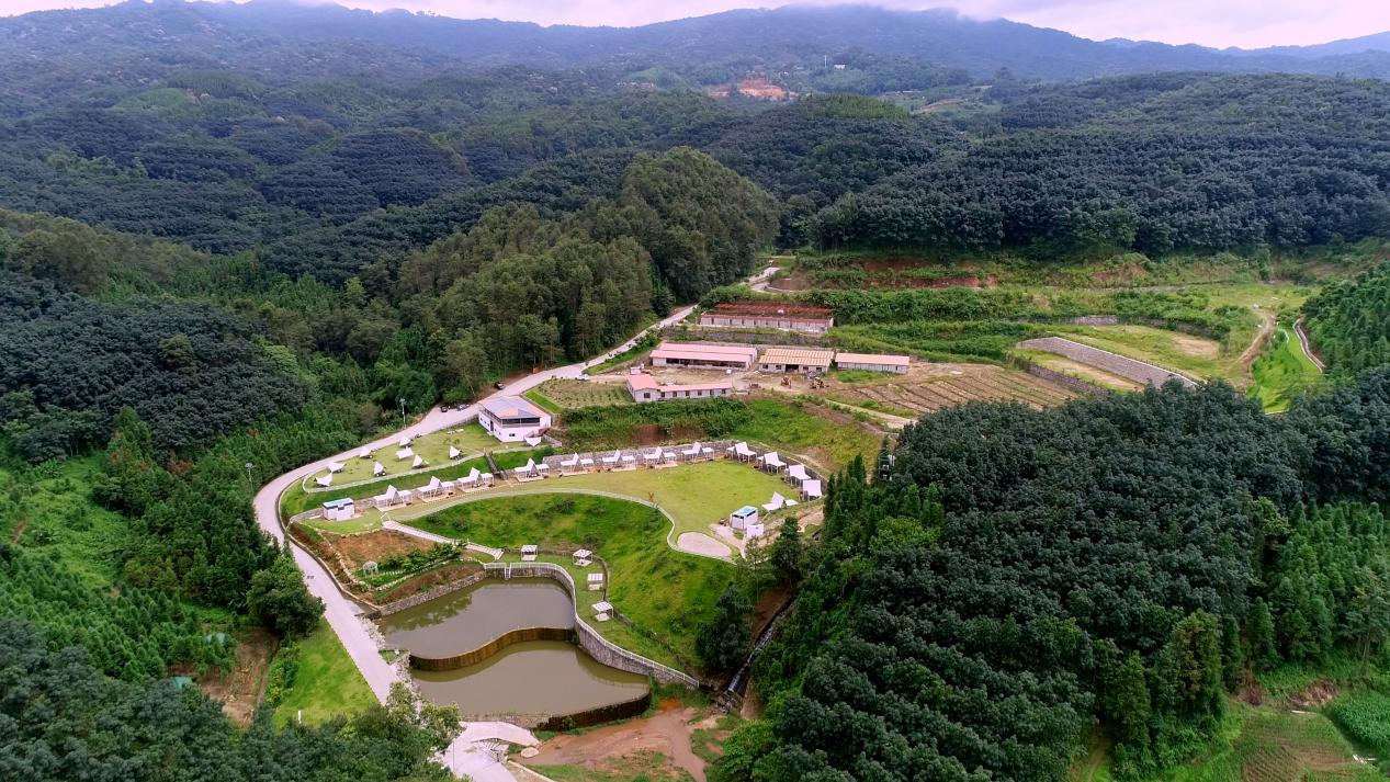 沿着边境看中国｜云南瑞丽芒岗村：移民村变身“宜民村”