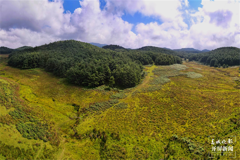 （采访传编辑 有视频）想去哀牢山？快来认识一下这座哀牢山中的 “宝藏”小镇3.png