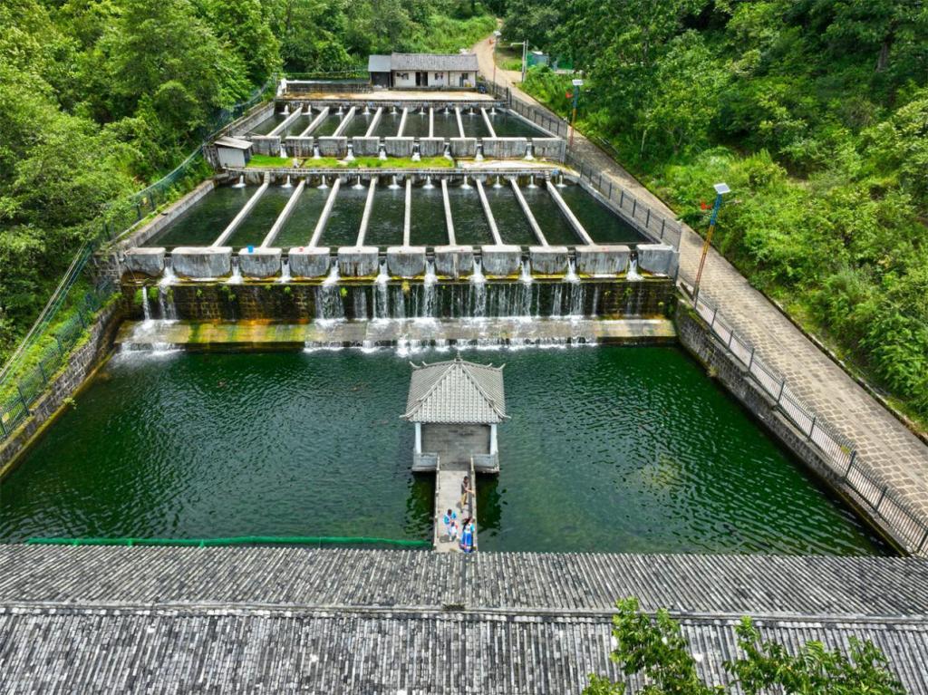 沿着边境看中国 | 云南腾冲国门新村：百年“黑泥塘”变身鱼跃果丰的“桃花源”