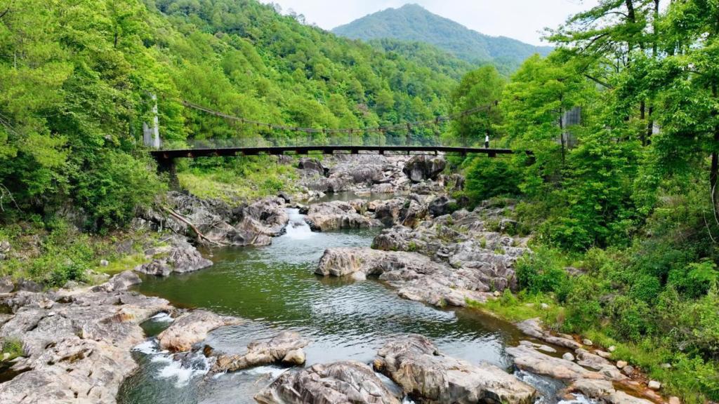 沿着边境看中国 | 云南腾冲国门新村：百年“黑泥塘”变身鱼跃果丰的“桃花源”
