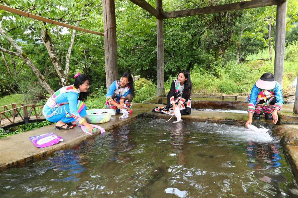 沿着边境看中国 | 云南腾冲国门新村：百年“黑泥塘”变身鱼跃果丰的“桃花源”