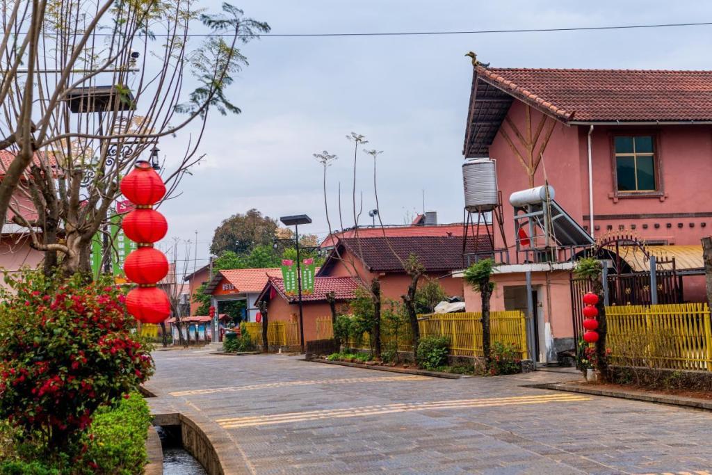 沿着边境看中国 | 云南陇川龙安村：旅游名片添不停，这个村子不一般