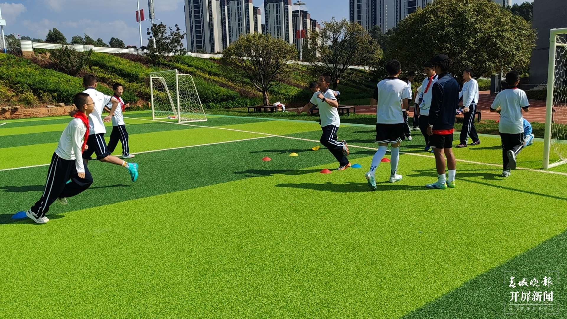 西林附中选修课上新，总有一款适合你