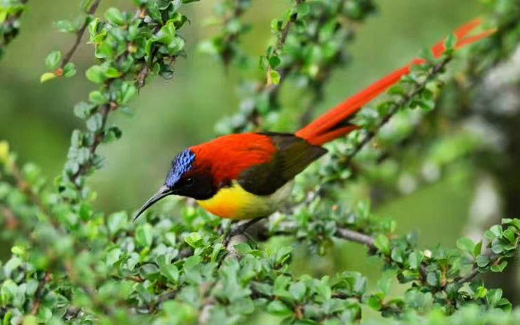 沿着边境看中国 | 云南泸水三河村：出名！出圈！放光芒！