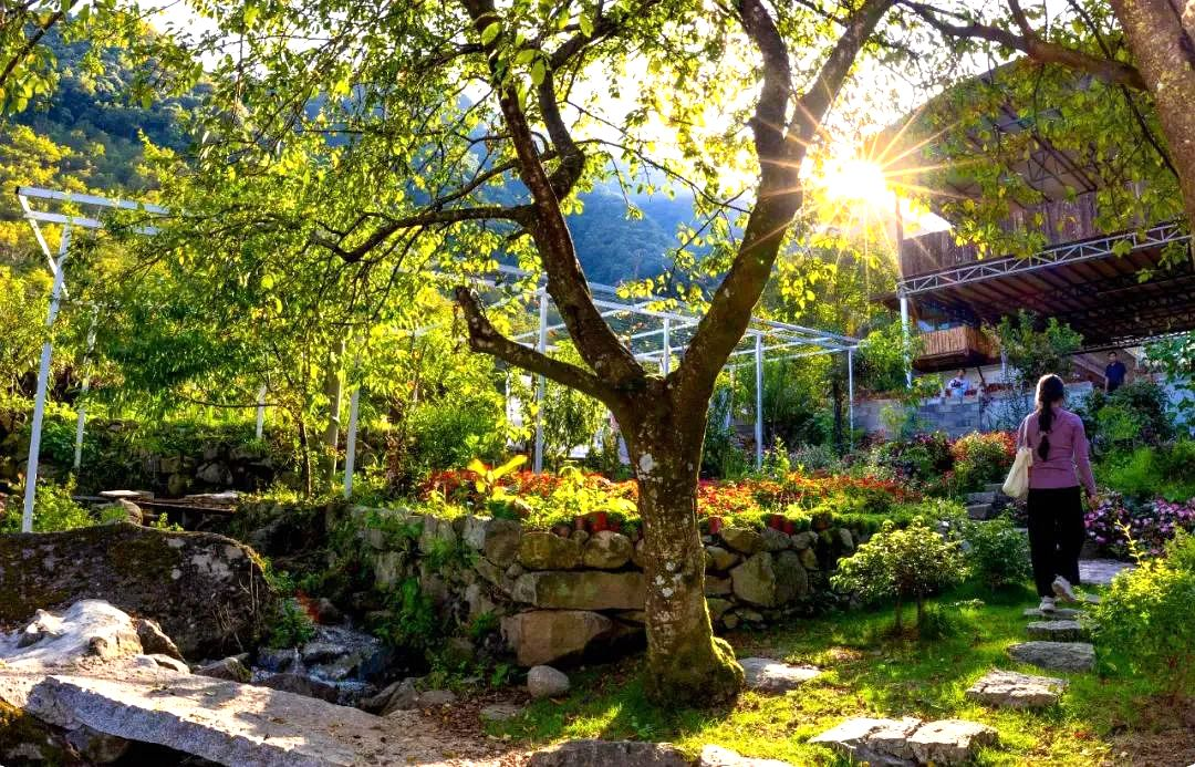 沿着边境看中国 | 云南泸水三河村：出名！出圈！放光芒！