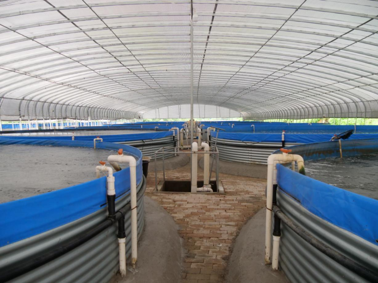 沿着边境看中国 | 云南河口坝吉五队：“慢”游舒适生活圈