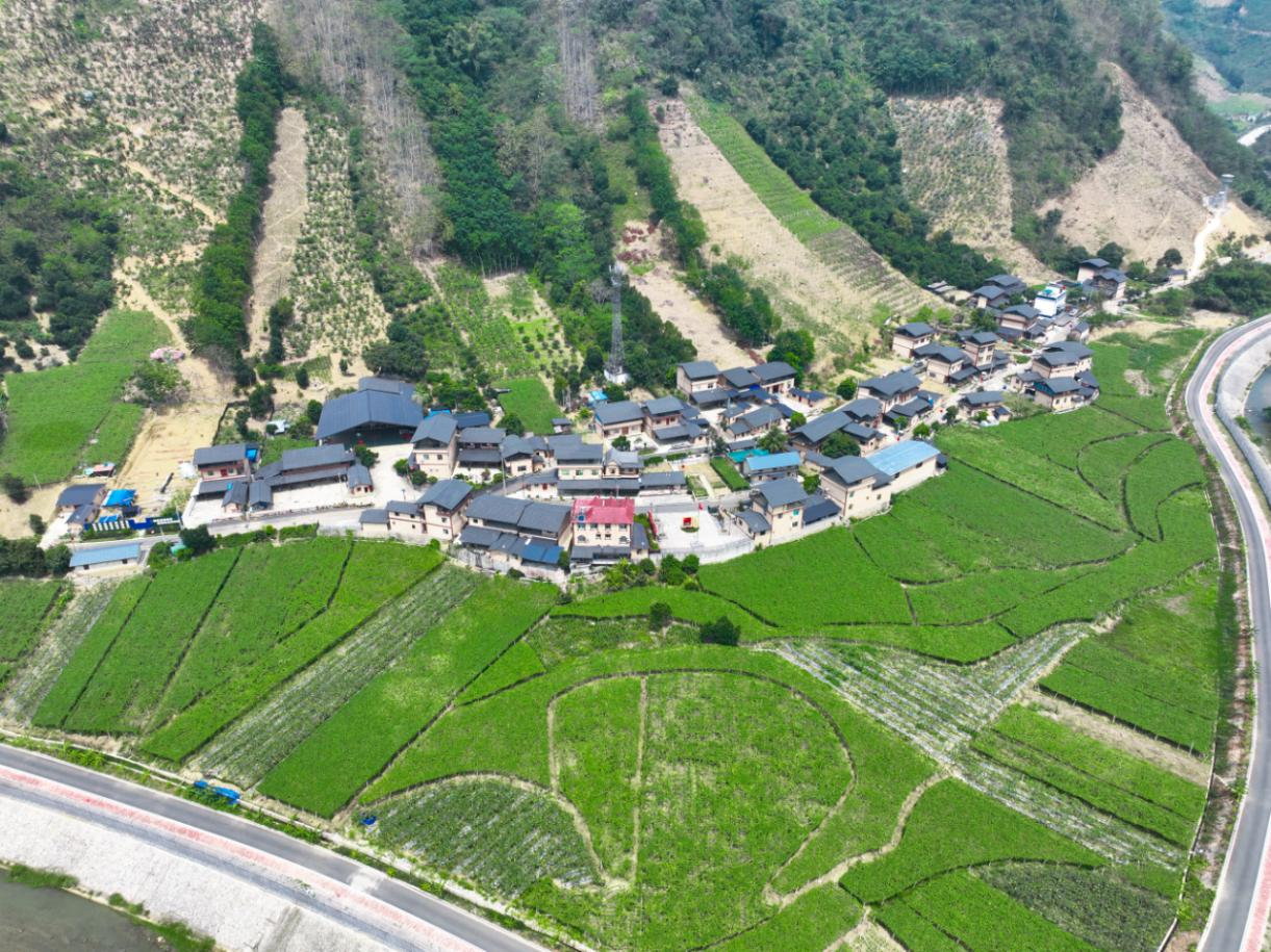 沿着边境看中国 | 云南河口坝吉五队：“慢”游舒适生活圈