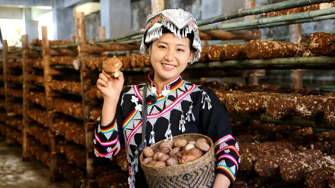 沿着边境看中国 | 云南绿春拉祜寨：古木庐到现代居 “千年跨越”展新颜