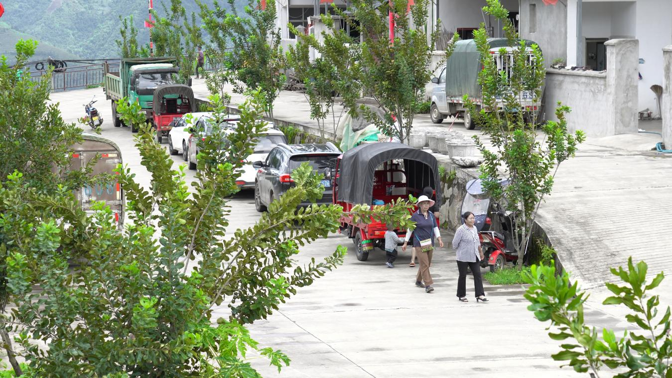沿着边境看中国 | 云南龙陵富宝新村：一缕咖香飘万里