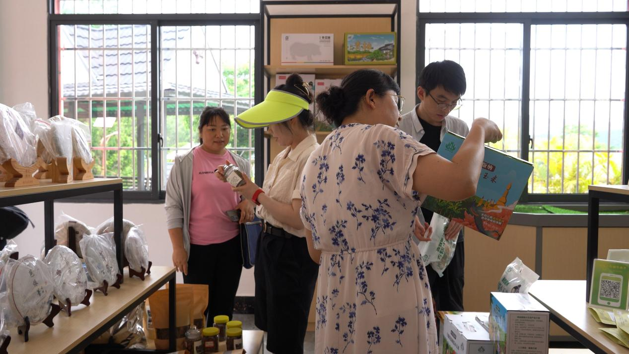 云南勐腊会龙村：哈尼风情浓 千里引客来4.png