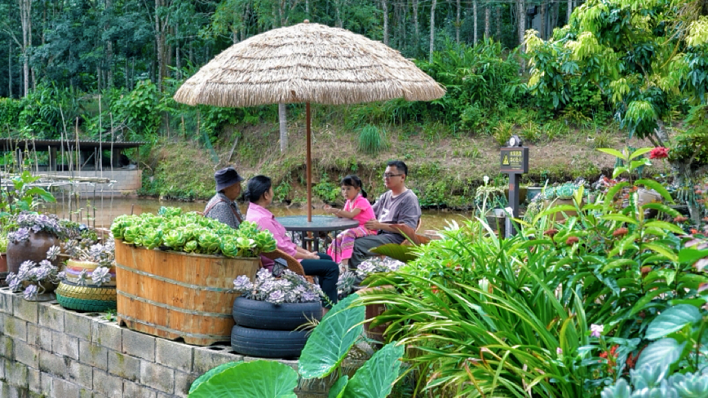 云南勐腊会龙村：哈尼风情浓 千里引客来3.png