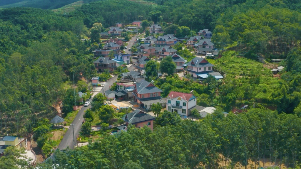 云南勐腊会龙村：哈尼风情浓 千里引客来1.png