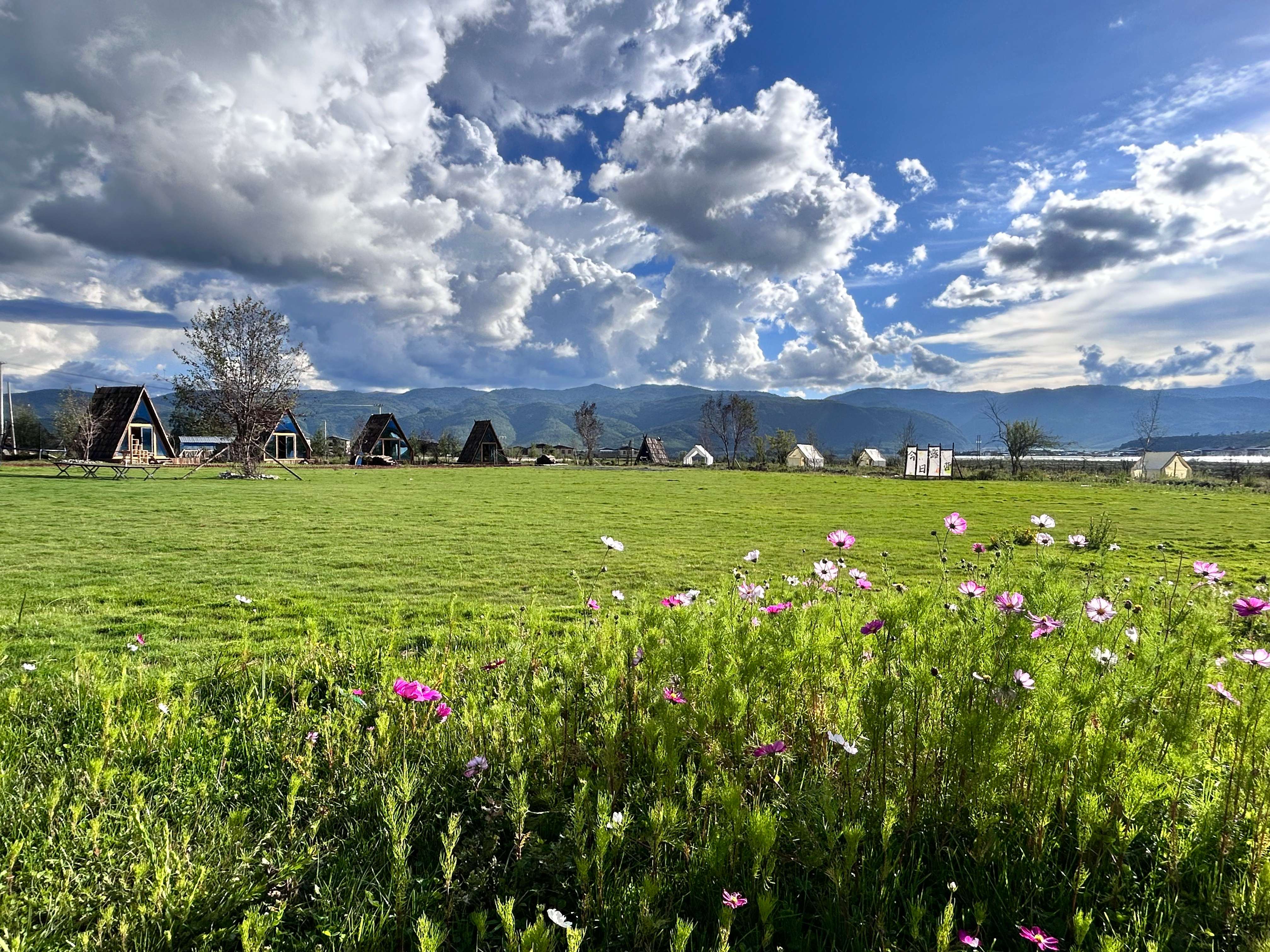 幸福香巴拉·美丽新画卷｜在此仰望星空，“望野聚露营地”承载乡村振兴梦