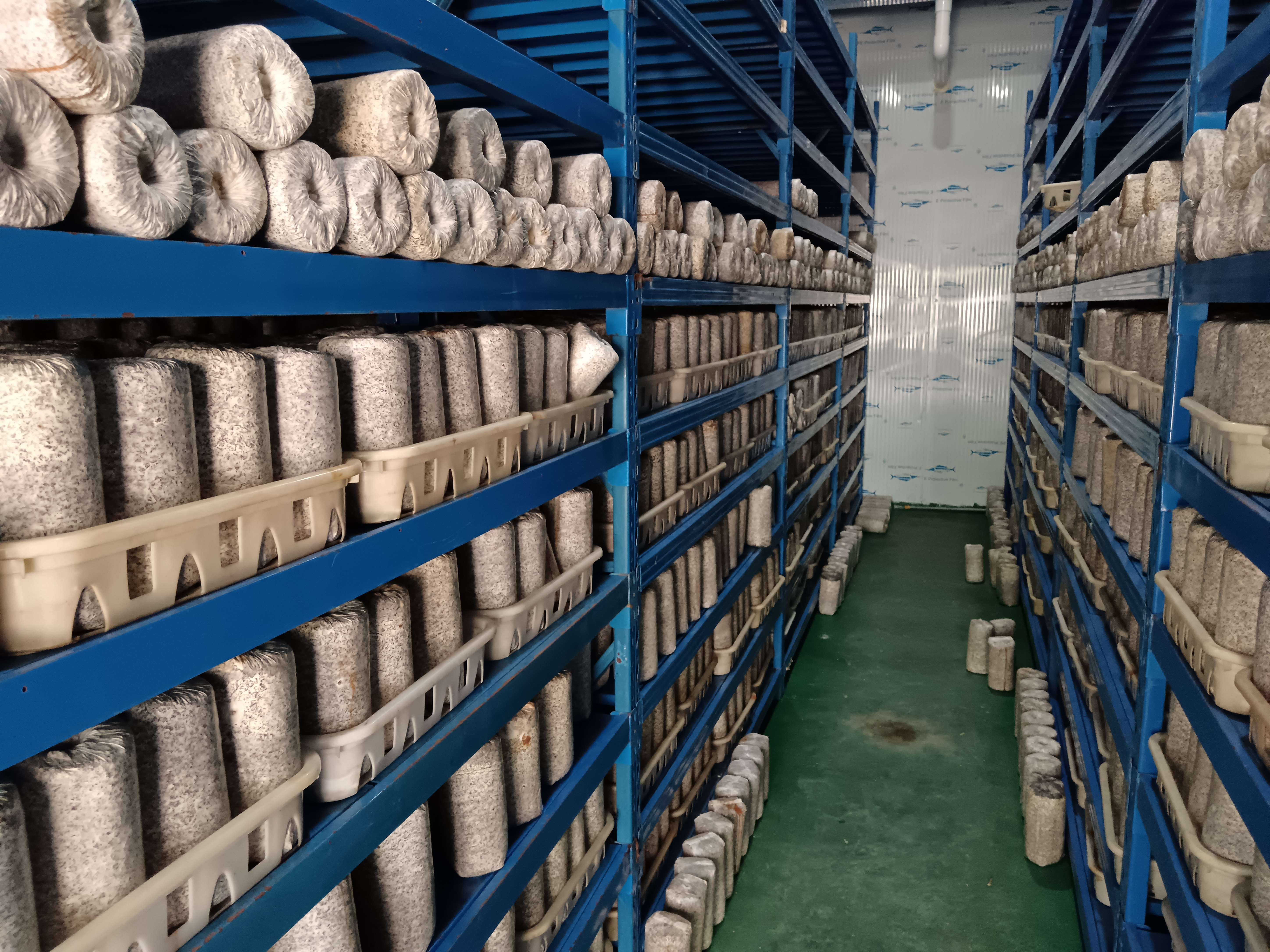 幸福香巴拉·美丽新画卷｜小小黑木耳 致富大产业