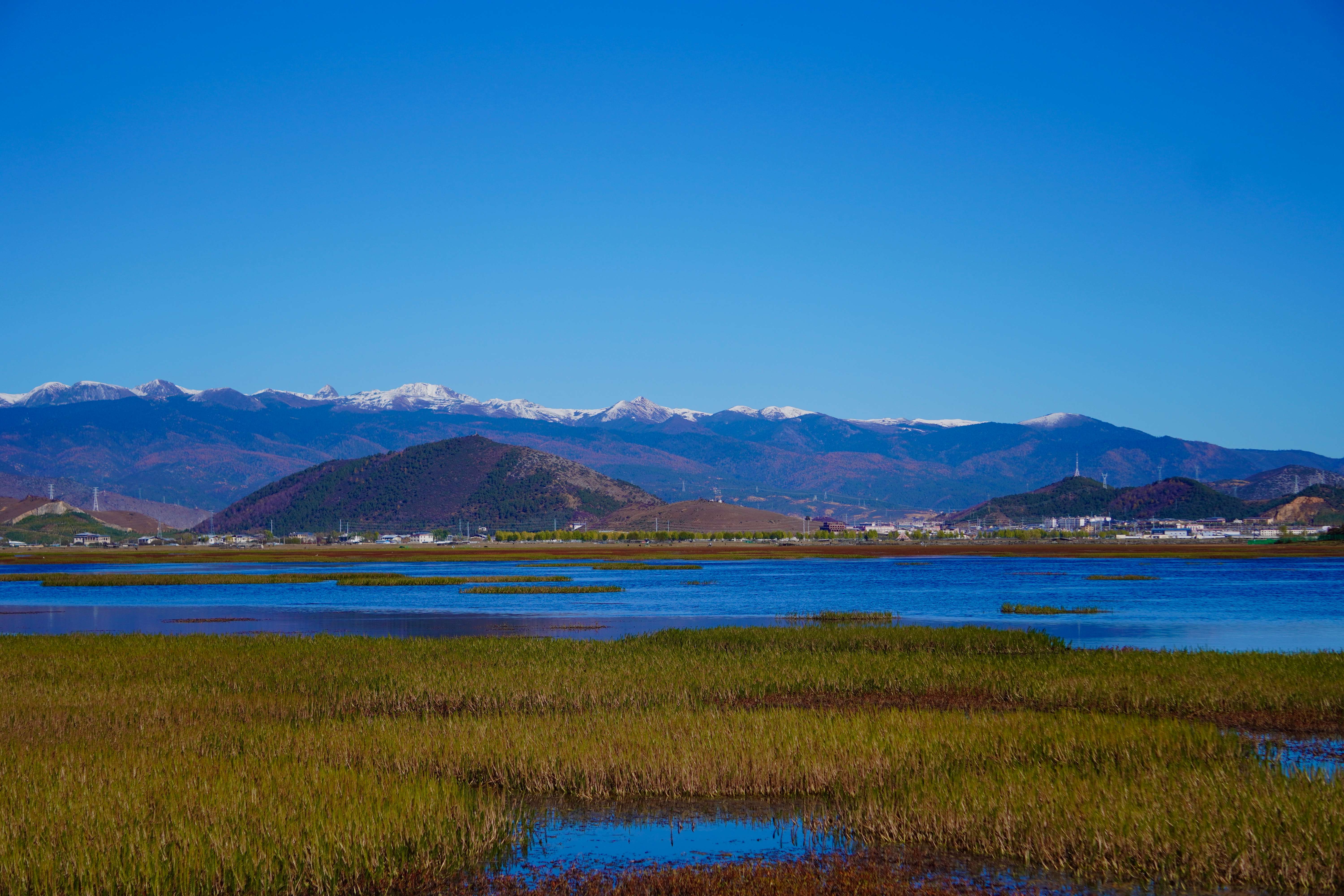 幸福香巴拉·美丽新画卷｜向草原出发，纳帕海有颜值，更有产值