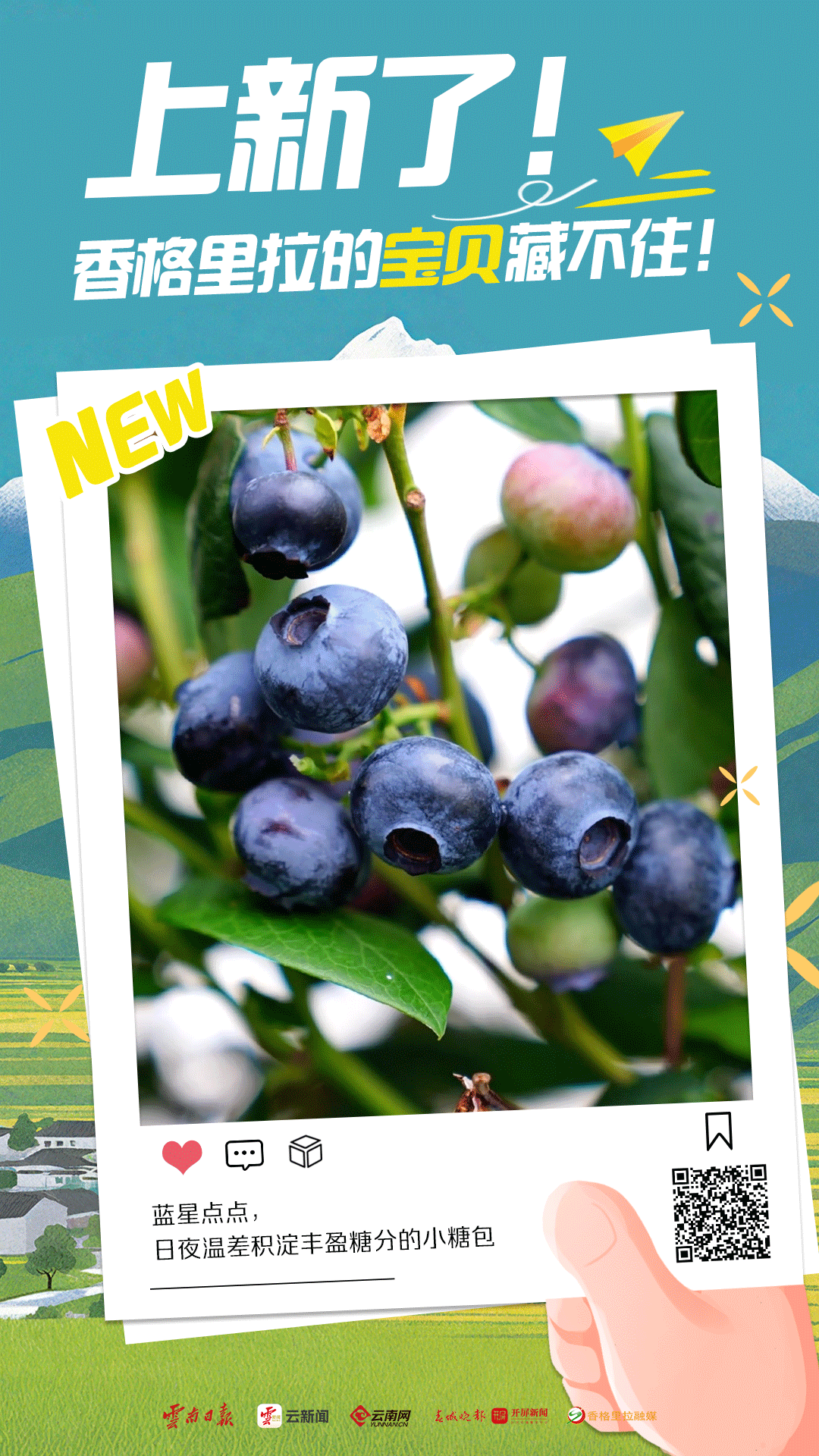 幸福香巴拉·美丽新画卷｜上新了！香格里拉的宝贝藏不住