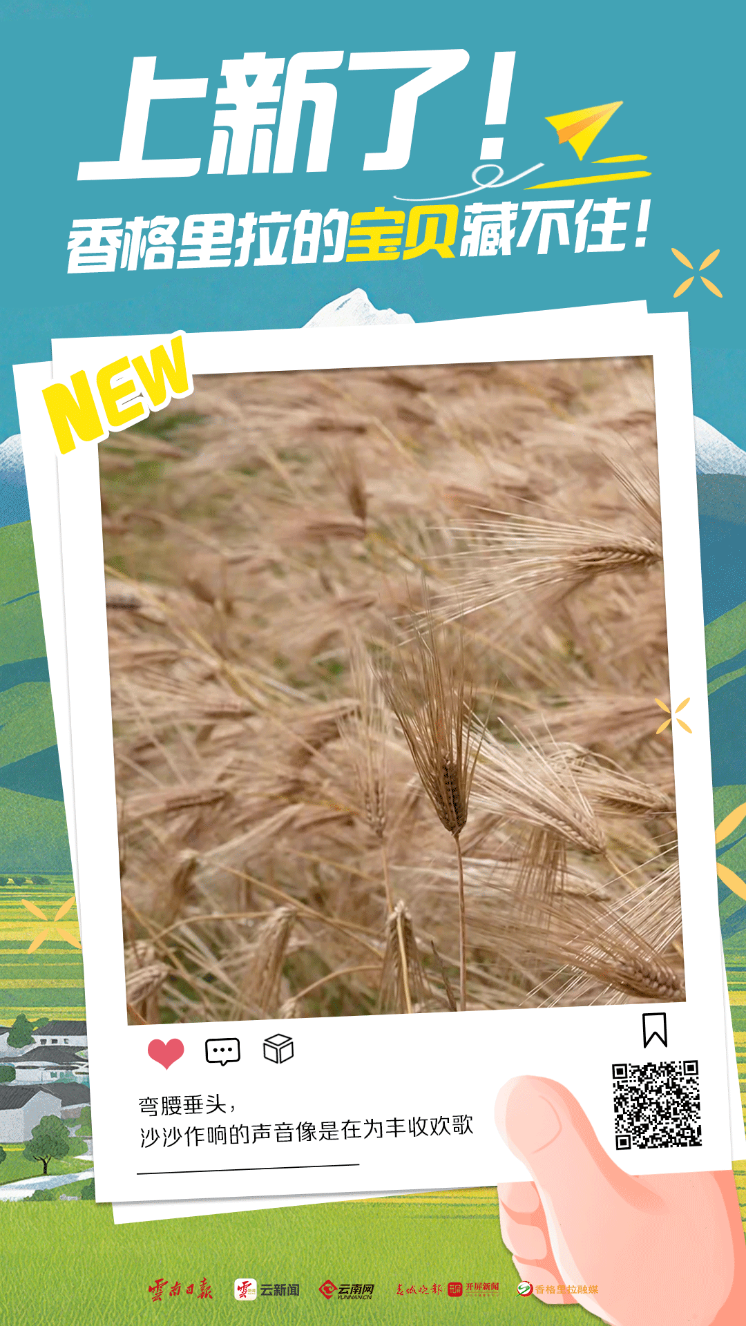 幸福香巴拉·美丽新画卷｜上新了！香格里拉的宝贝藏不住