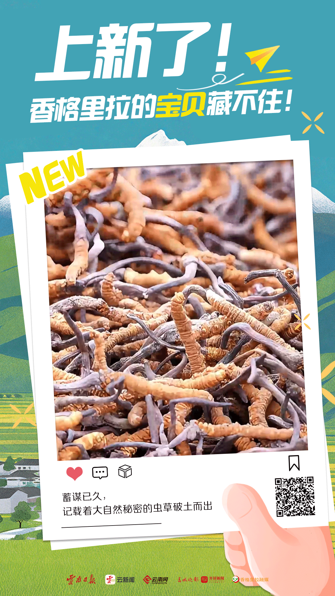 幸福香巴拉·美丽新画卷｜上新了！香格里拉的宝贝藏不住