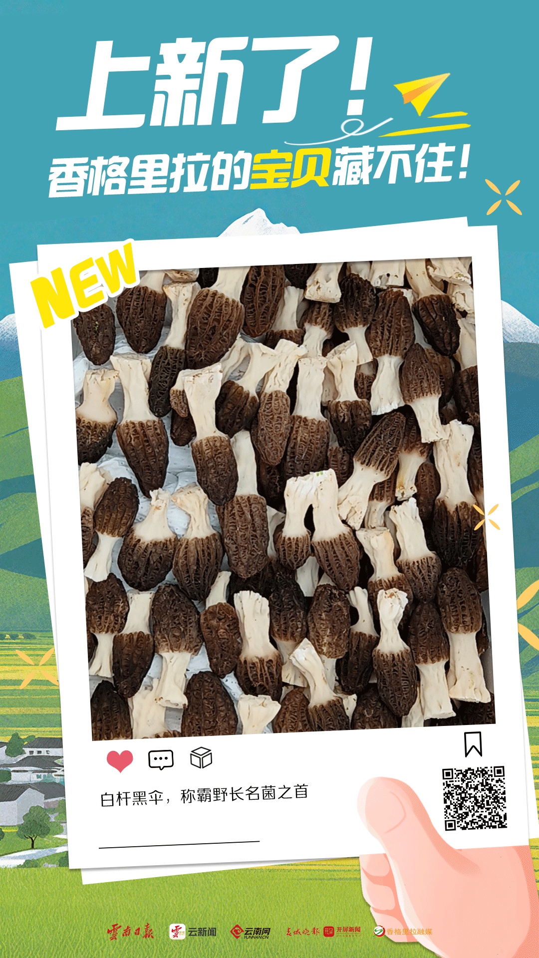 幸福香巴拉·美丽新画卷｜上新了！香格里拉的宝贝藏不住