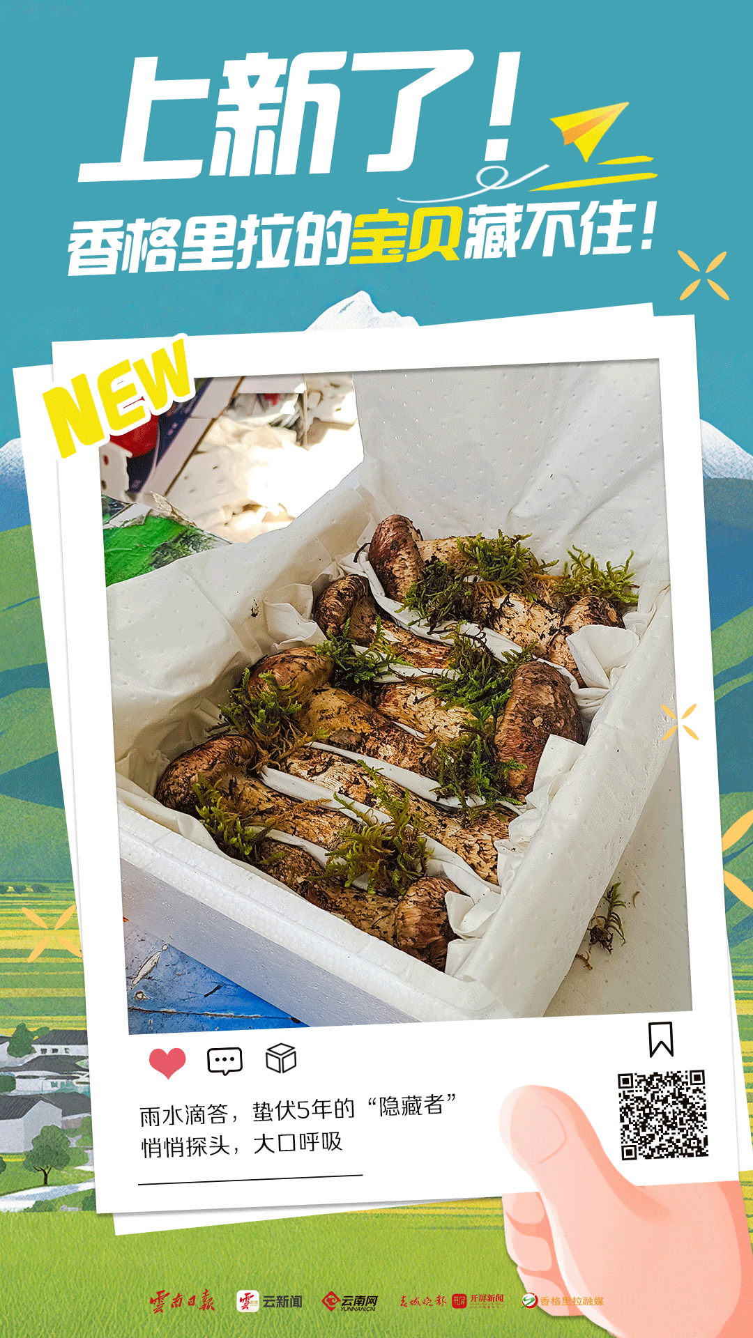 幸福香巴拉·美丽新画卷｜上新了！香格里拉的宝贝藏不住