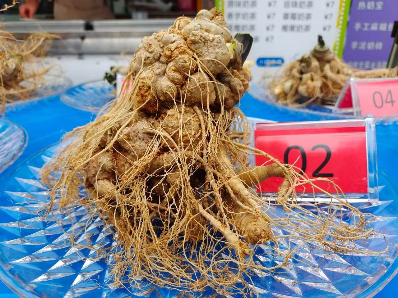 好山好水出好药｜新一届“三七王”长这样