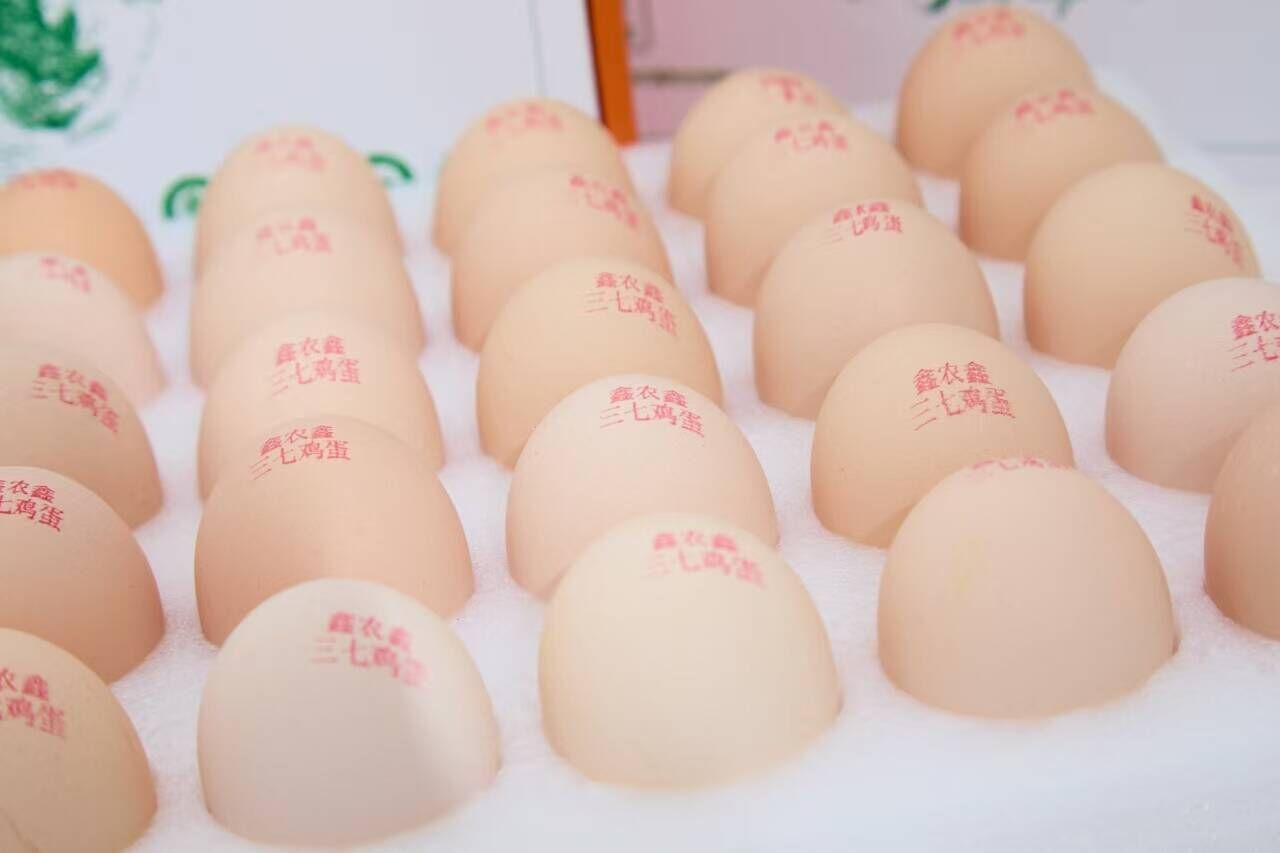 好山好水出好药丨日销140万枚！“三七鸡蛋”擦亮“砚蛋”品牌
