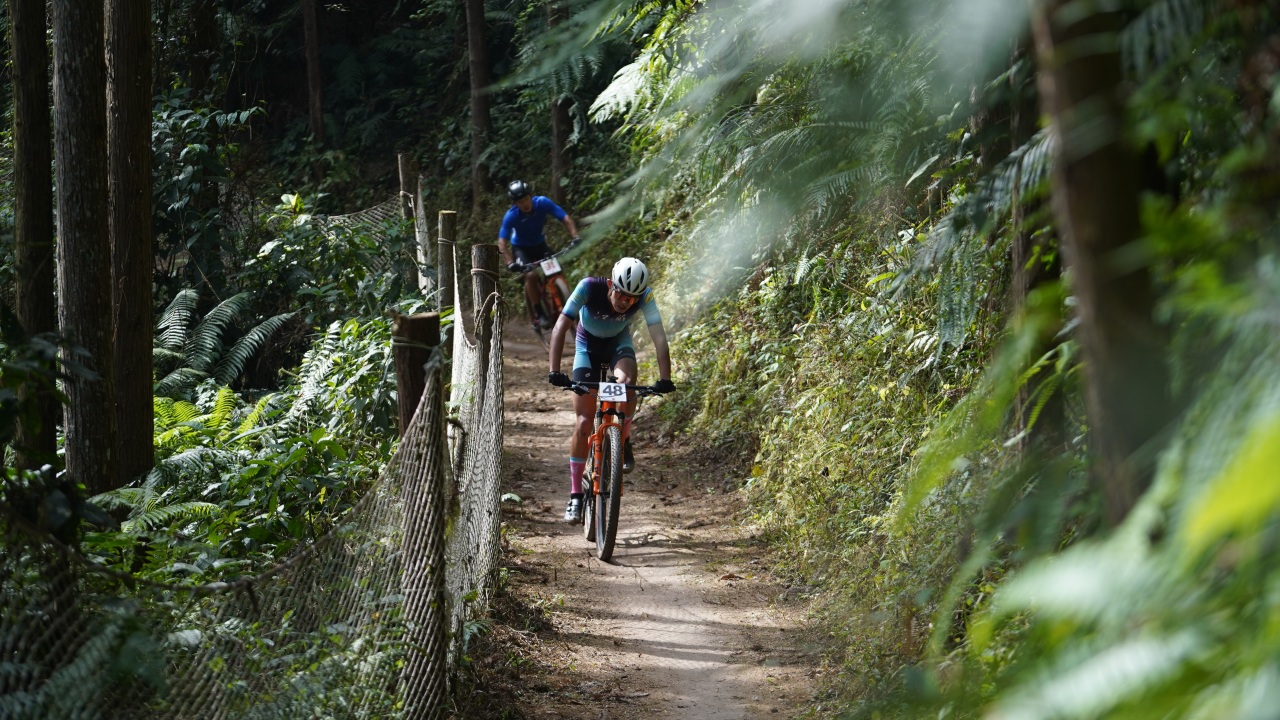好山好水出好药丨“自然风光+民族医药” 打造香坪山康养旅居新样板