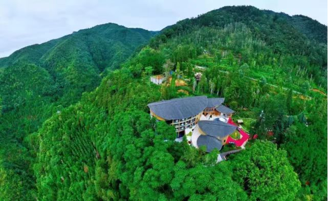 好山好水出好药丨“自然风光+民族医药” 打造香坪山康养旅居新样板