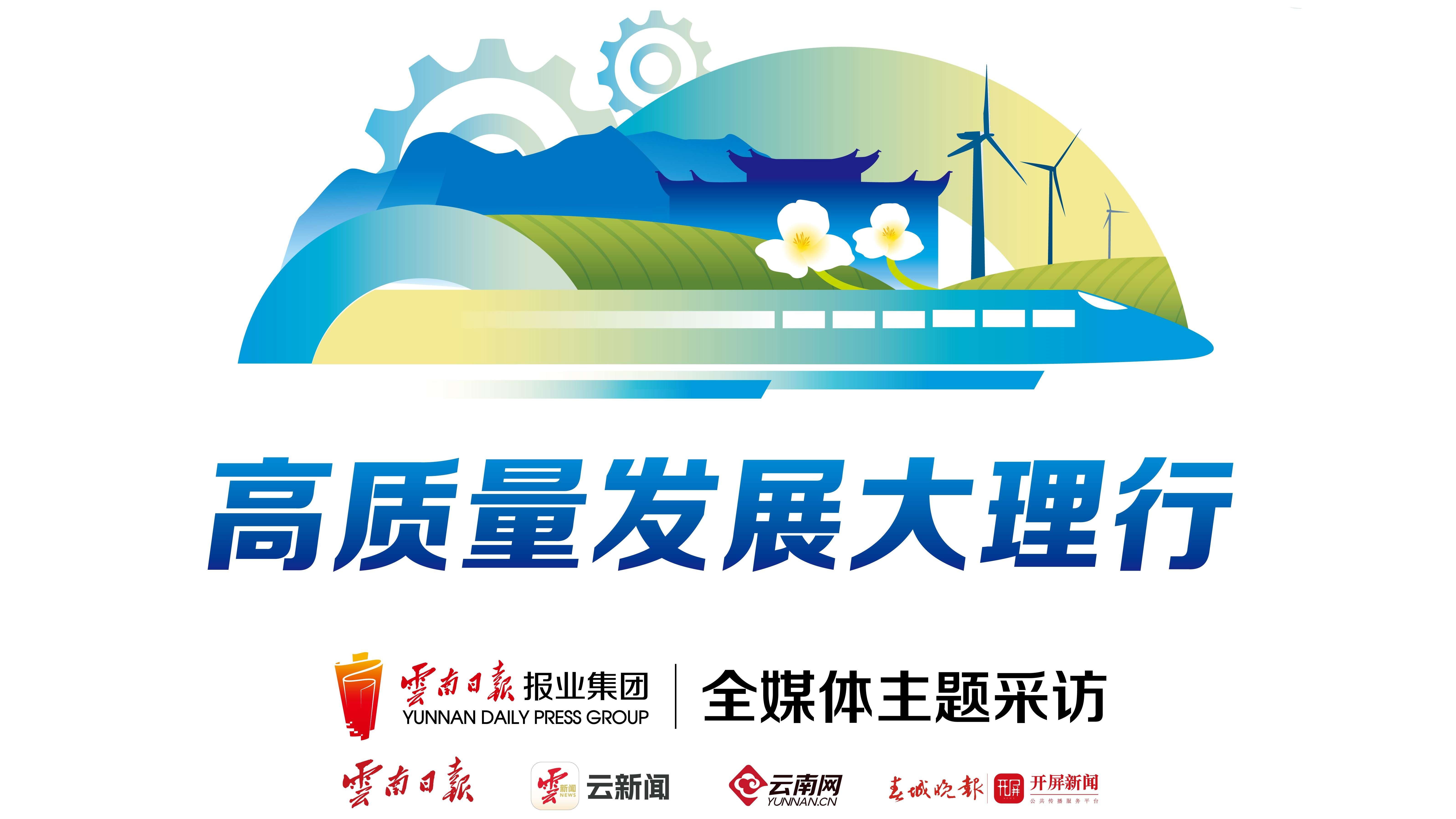 高质量发展大理行