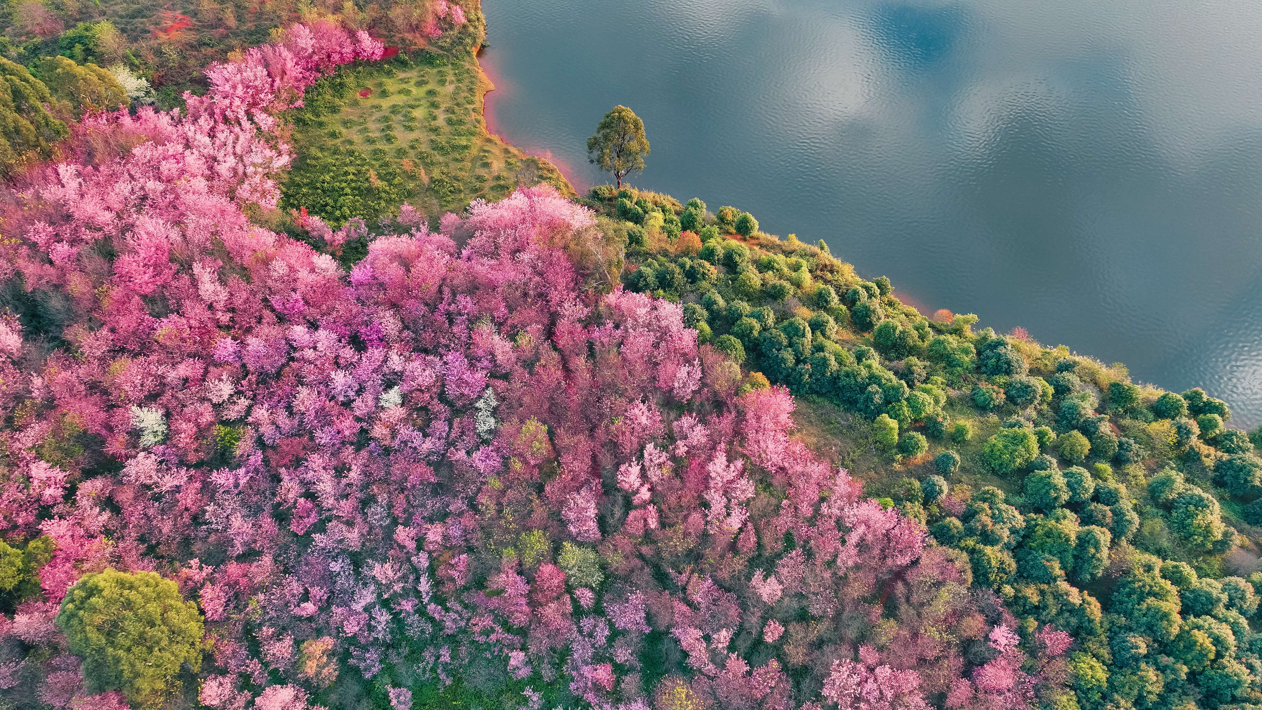 好山好水出好药|丘北：四季山水间  享诗意栖居