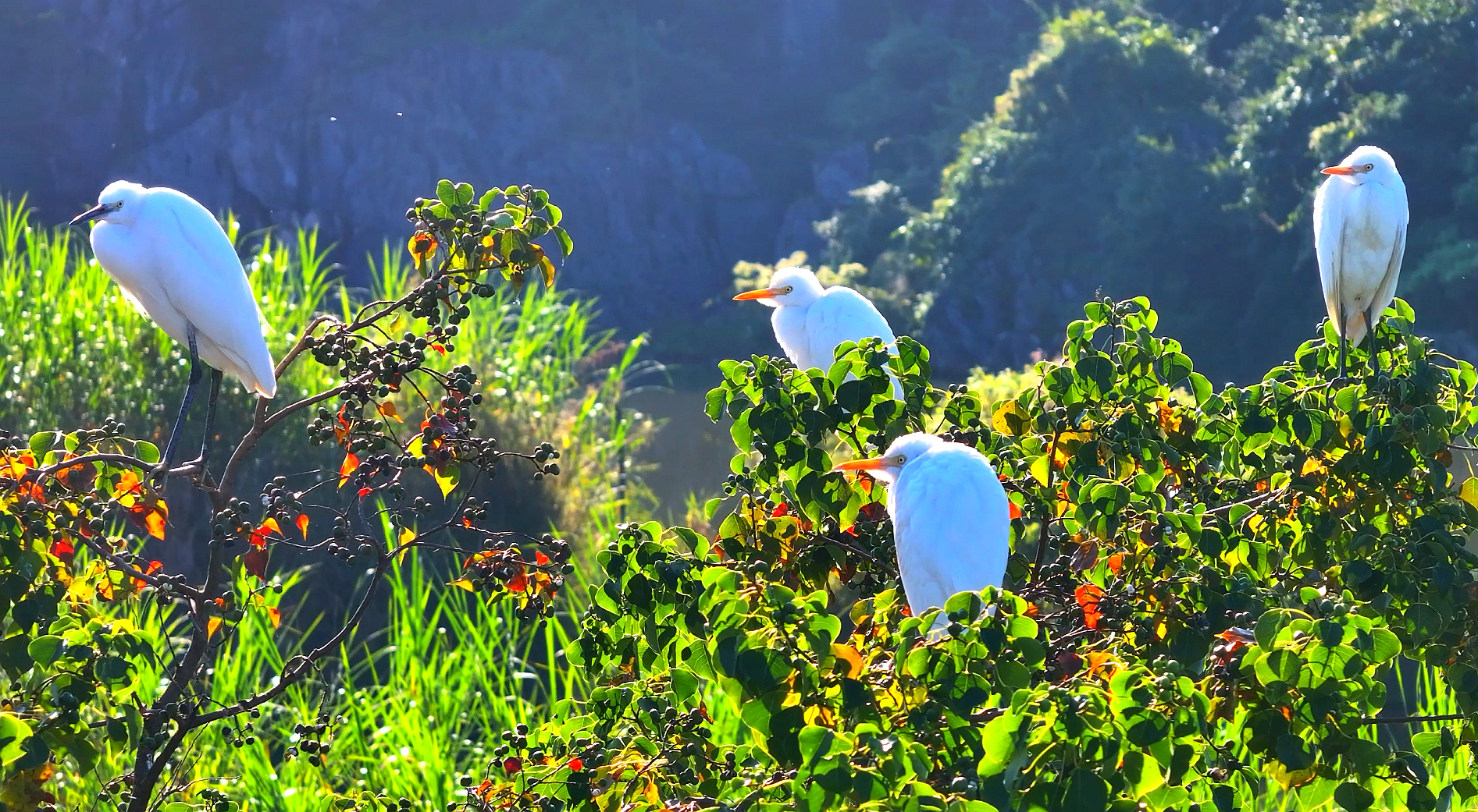 好山好水出好药|丘北：四季山水间  享诗意栖居