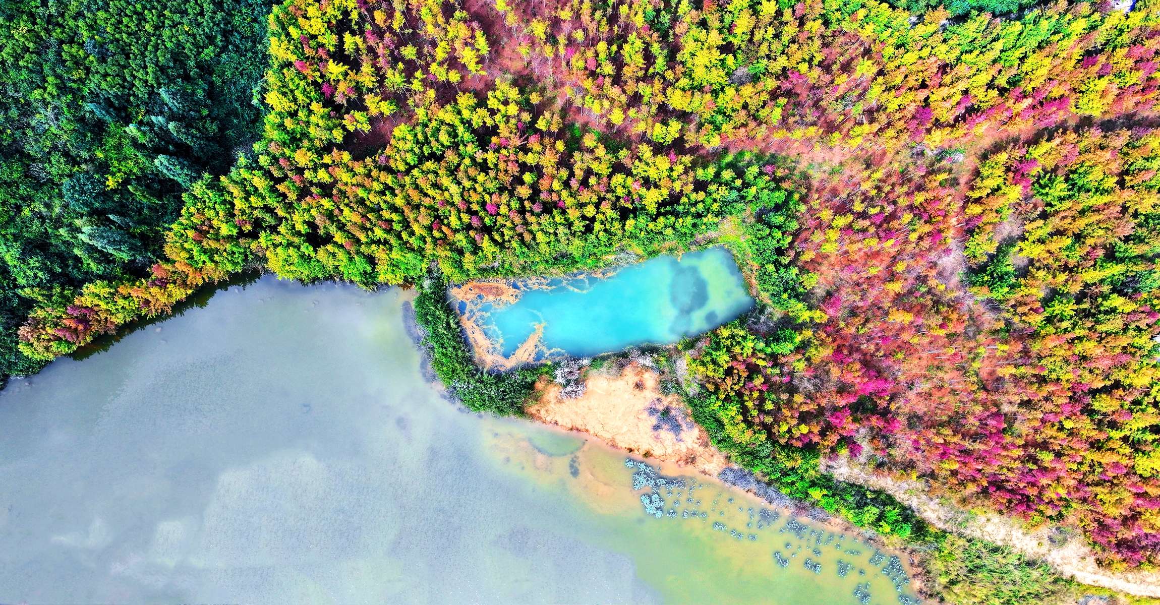 好山好水出好药|丘北：四季山水间  享诗意栖居