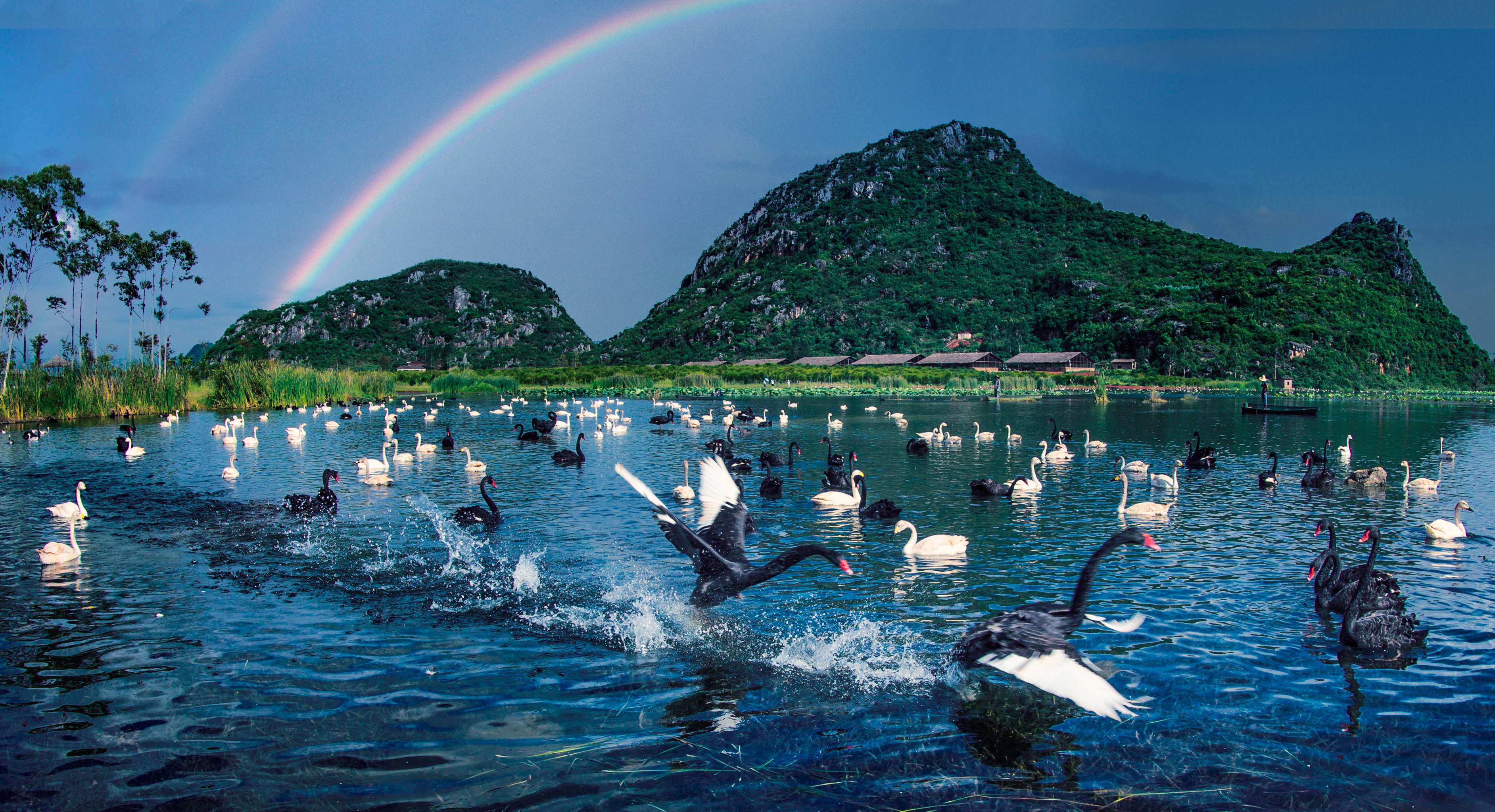 好山好水出好药|丘北：四季山水间  享诗意栖居