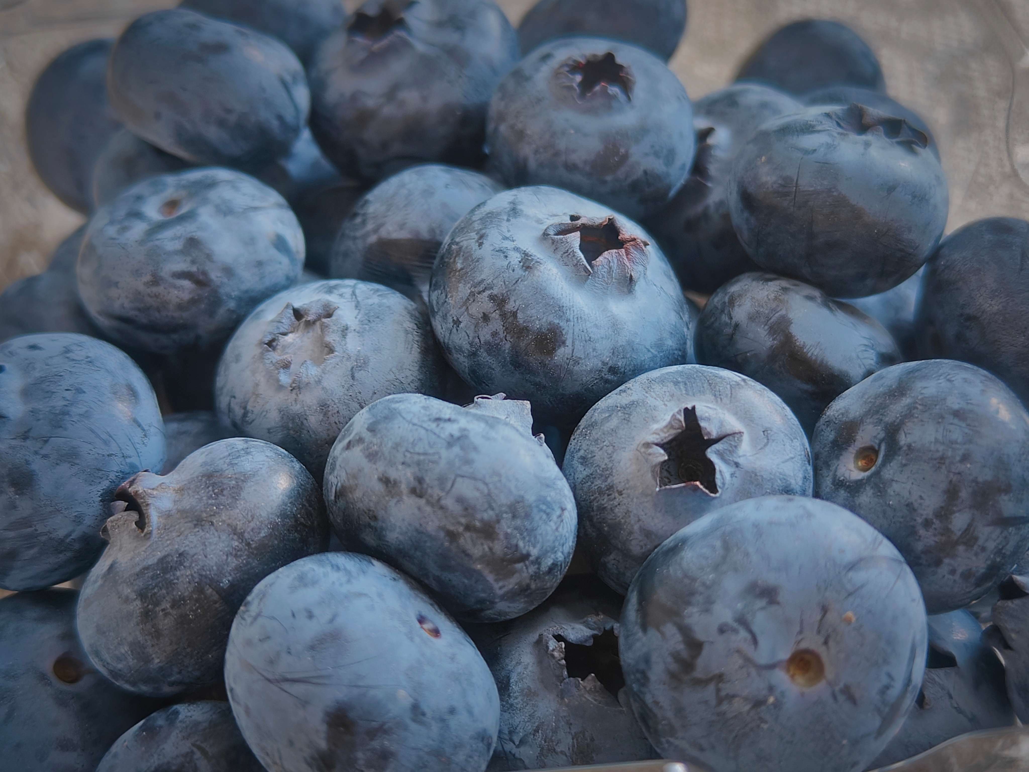 高质量发展大理行  |  蓝莓开采，蕴含千万产值