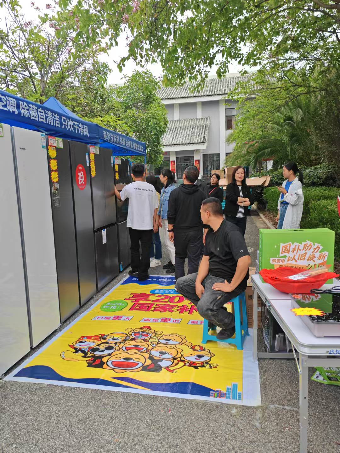 高质量发展大理行 | 大理宾川：以旧换新激发消费活力，家电销售创新高