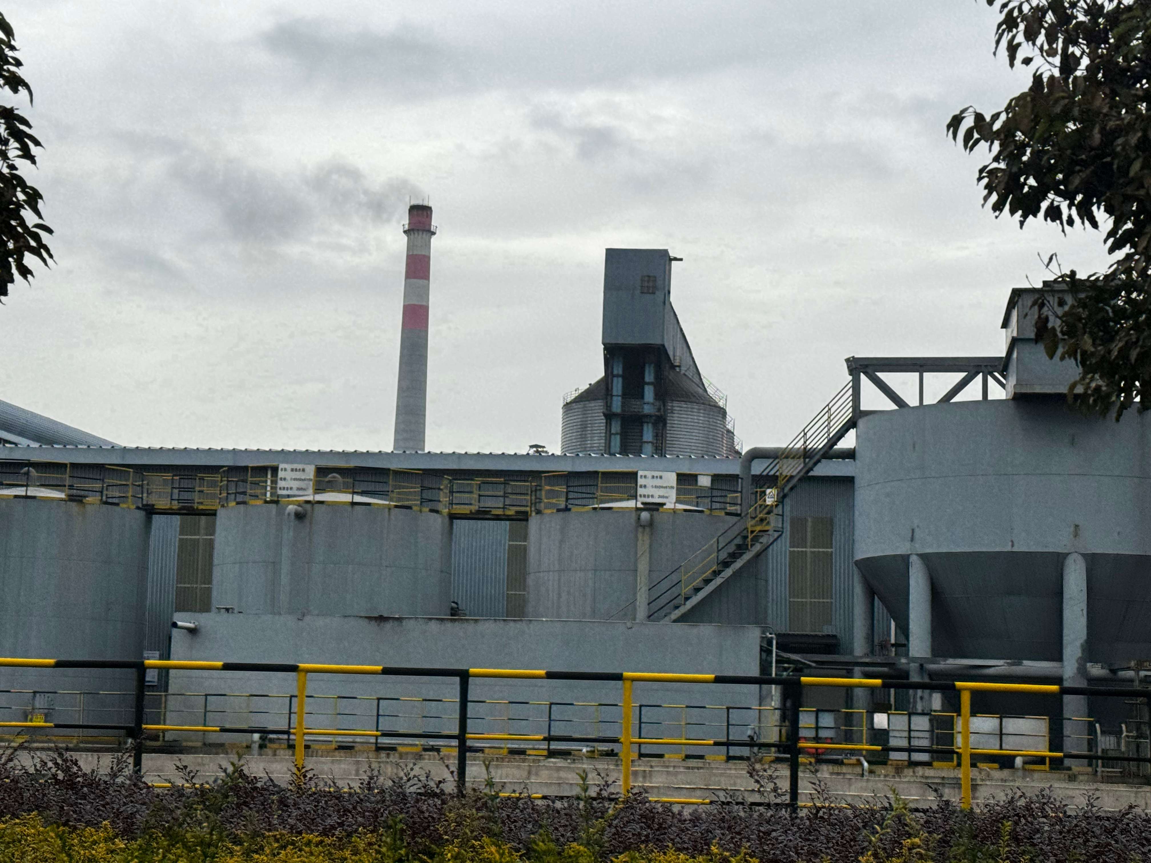 聚力曲靖“五张名片”｜索通云铝绿色碳素 为高质量发展注入动力